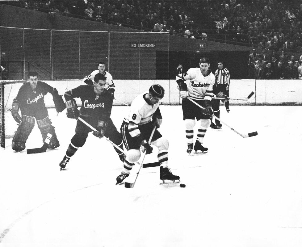 Portland Buckaroos vs San Diego Gulls 1960's